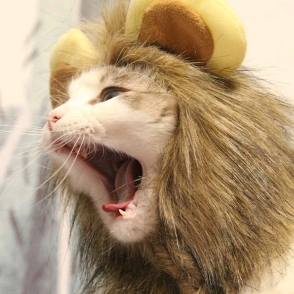 Lion hat for small pets - Picture 2 of 4